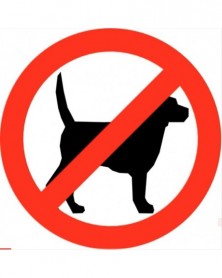 No Dog Noise Anti Barking...