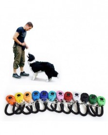 400 Pcs Dog Training...