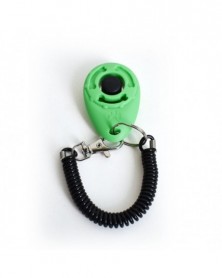 Emerald green - 2pcs Pet...