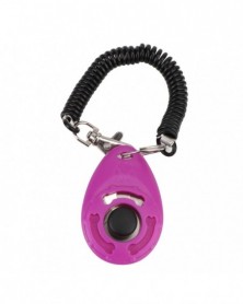 Purple - Key Chain Click...