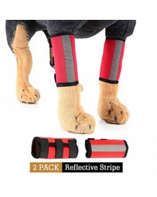 M size-1 pair Red - Dog...