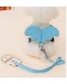 XS size-Blue - Dog Leash...