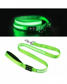 6102-green - Dogs Leash...