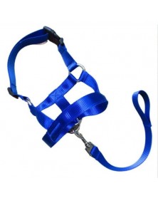 L size-Blue - Nylon Dogs...