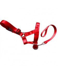 L size-Red - Nylon Dogs...