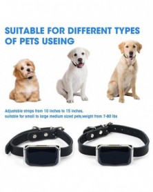 Mini Waterproof Pet Collar...