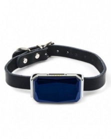 Blue - Mini Pet GPS Tracker...