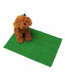 Green-Pet Dog Cat...