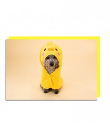 S 35x35cm-Yellow-Pet Towel...