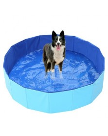 Blue-160x30-Portable Dog...