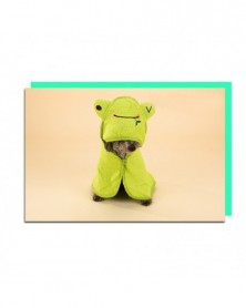 S 35x35cm-Green-Pet Towel...