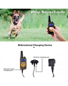 A set - 800m Electric Dog...