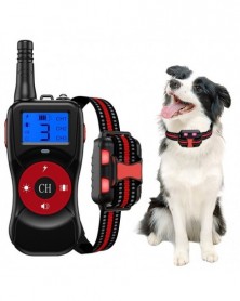 800m Electric Dog Training...