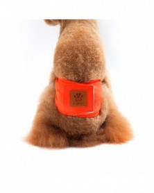 Orange-XL size-Pet Male Dog...