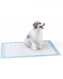 60X90CM 500G-Basics Dog and...