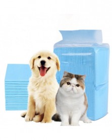 L 60x60cm 40pcs-Pets...