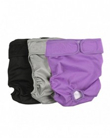 XL-3 Pack Washable Female...