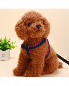 Comfortable Pet Dog Nylon...