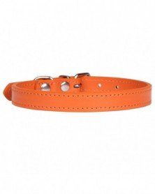 M2.0 40-Orange - Coloful...