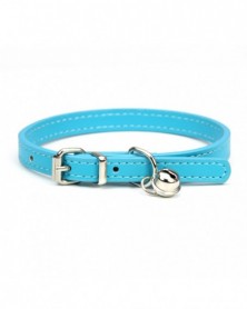 1.0cmx25cm-Blue - PU...