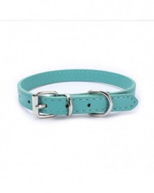 XXXS size-10-Dog Collars...