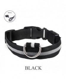 XL size-2-Dog Collar Nylon...