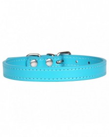 XXXS size-16-Dog Collars...