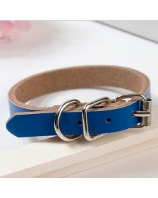 M size-Blue - 10 Pcs Dog...