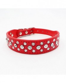 XXS size-2 Red-2.5cm Width...