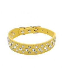 XXS size-Yellow-2.5cm Width...