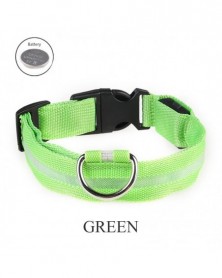 L size-green-Dog Collar...