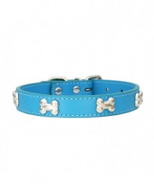 L size-Blue-Pet Dog Collar...