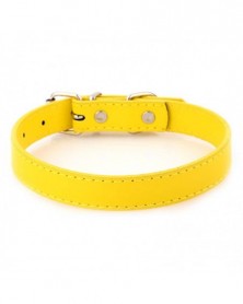 2.5x52cm-Yellow-Dog Collars...