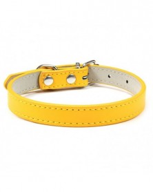 M size-B-yellow-Dog Neck...