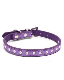 XXS size-Purple-Small Dog...