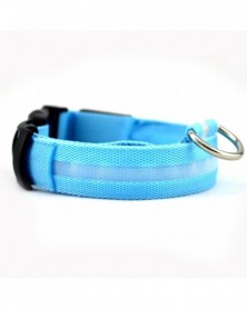 XL size-blue-2.5cm Wide...