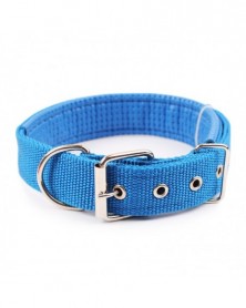 L size-Blue-5 Sizes Dog...