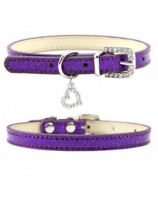 S size-C-purple-Dog Neck...