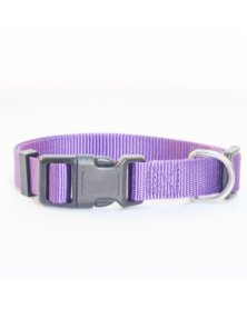 XL size-Purple-Dog Collar...