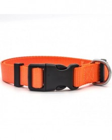 L size-orange-Solid Color...