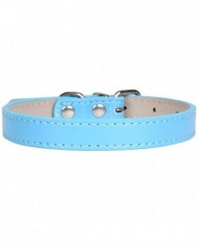 S size-Blue-Hot!Pet Product...