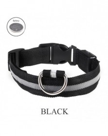 M size-white-Dog Collar...