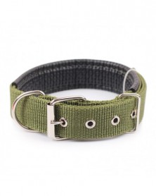 3.0x60cm-Green-Dog Collars...