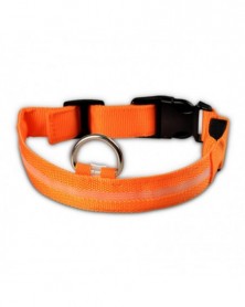 XL size-orange-Nylon Dog...