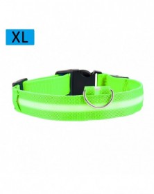 XL size-Green-Nylon LED...