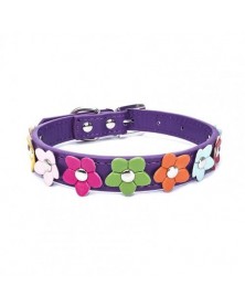 L size-Purple-Pet Collar...