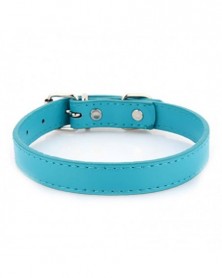 2.0x45cm-Cyan-Dog Collars...