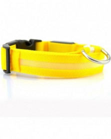 L size-yellow-2.5cm Wide...