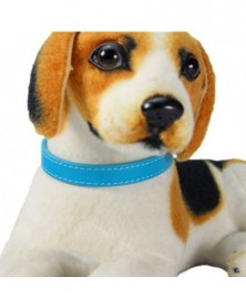 1.5x37-Lake blue-Dog Collar...