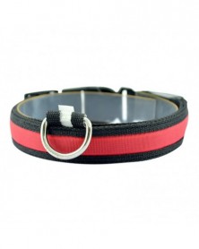 XL size-R-Led Dog Collar...